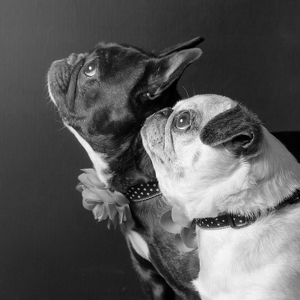 Fundraising Page: Rachel Brege